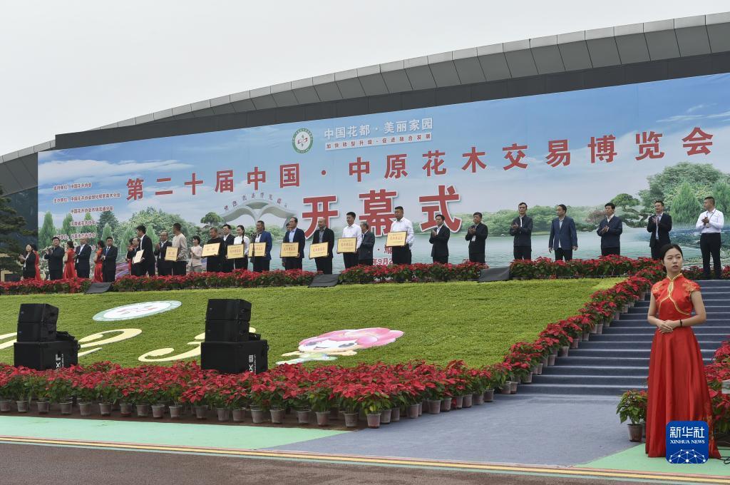 大同dq游戏大厅下载
